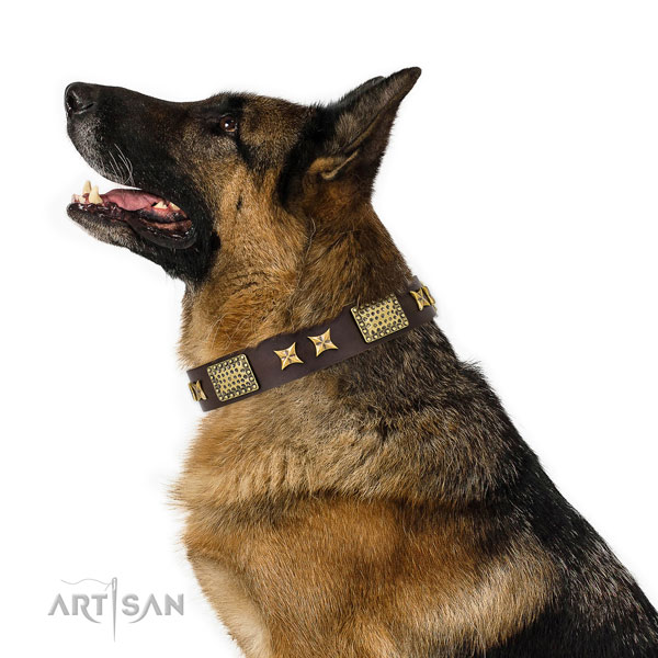 Comfortable wearing dog collar with stylish adornments