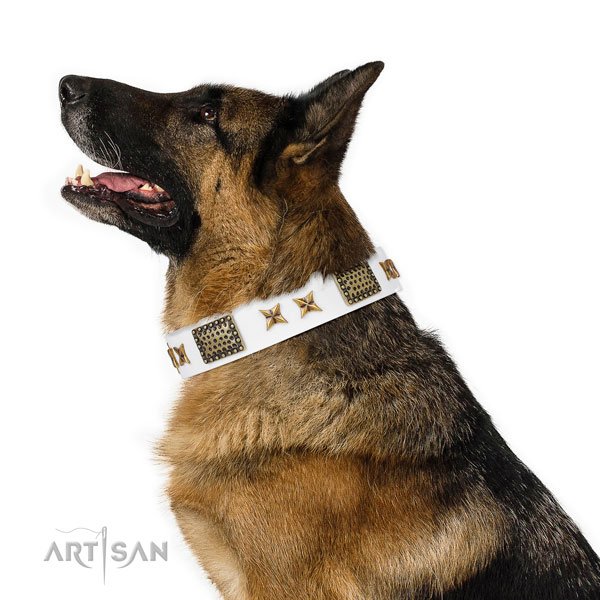 Daily use dog collar with exquisite studs