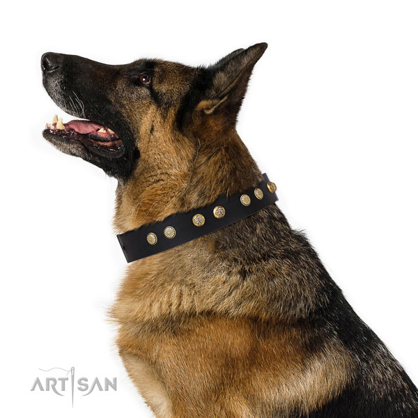 Amazing embellishments on comfy wearing genuine leather dog collar