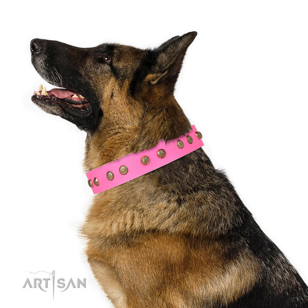 Designer decorations on easy wearing genuine leather dog collar