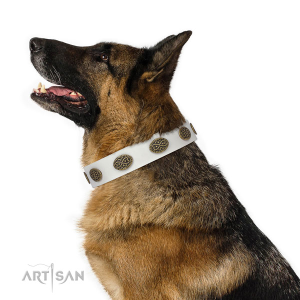 Incredible embellishments on walking full grain genuine leather dog collar