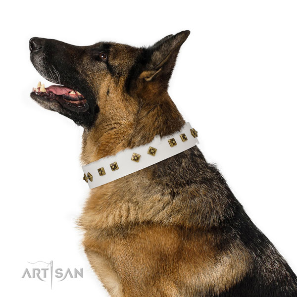 Stylish design studs on handy use dog collar