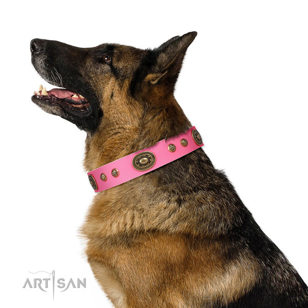 Unusual studs on walking dog collar