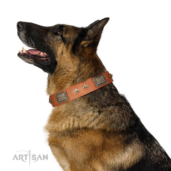 Top rate everyday use dog collar of natural leather