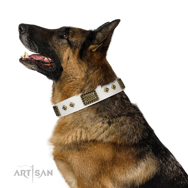 Handy use dog collar of natural leather with significant embellishments