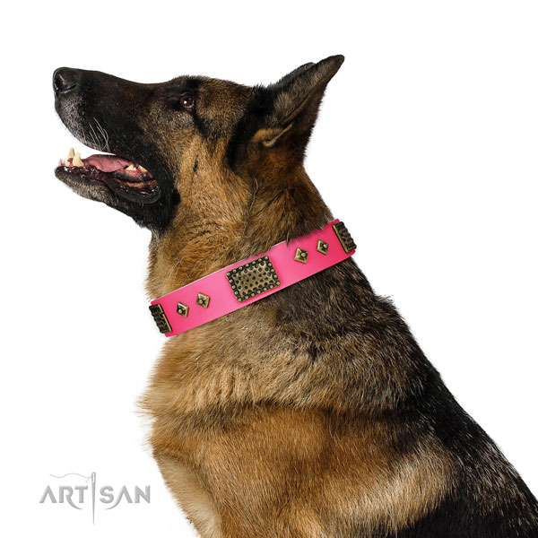 Fine quality full grain leather collar for your impressive four-legged friend