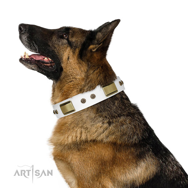 Basic training dog collar of leather with unusual decorations