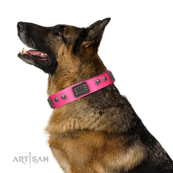 Impressive natural leather collar for your handsome four-legged friend