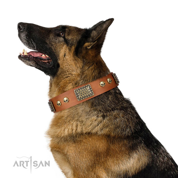 Rust-proof traditional buckle on genuine leather dog collar for easy wearing