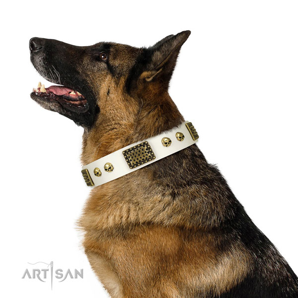 Corrosion proof buckle on leather dog collar for comfortable wearing