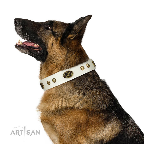Durable hardware on leather dog collar for comfortable wearing