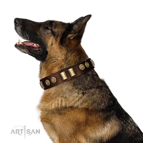 Corrosion resistant hardware on full grain leather dog collar for everyday use