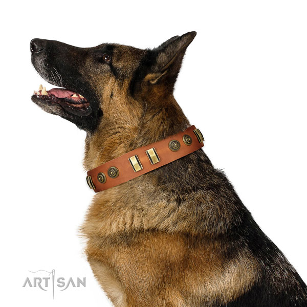 Corrosion resistant D-ring on full grain leather dog collar for walking