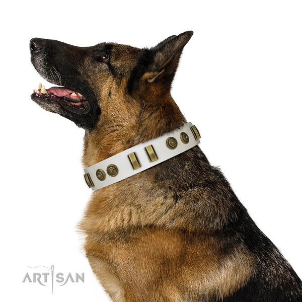 Basic training dog collar of leather with unusual studs