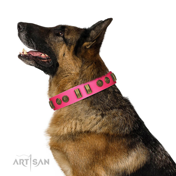 Stylish walking dog collar of natural leather with designer adornments