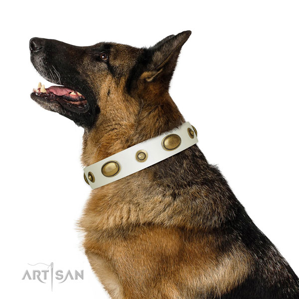 Handy use dog collar of natural leather with awesome adornments