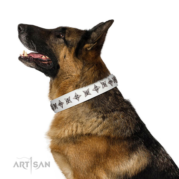 Reliable full grain natural leather dog collar with remarkable adornments