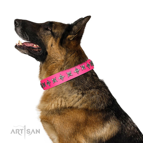 Best quality full grain genuine leather dog collar with fashionable embellishments