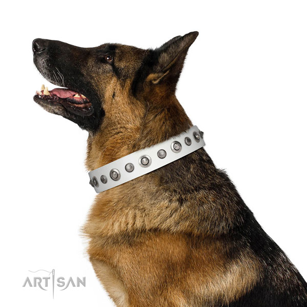 Leather collar with corrosion proof buckle for your lovely canine