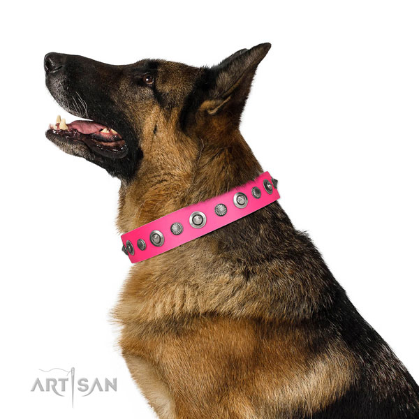 Full grain natural leather collar with durable fittings for your stylish dog
