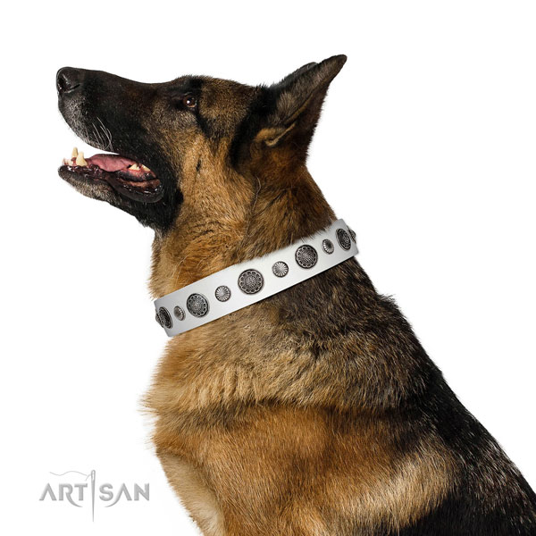 Unusual Full grain natural leather dog collar with corrosion resistant hardware