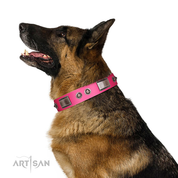 Trendy genuine leather dog collar with embellishments
