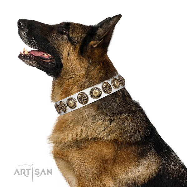 Embellished genuine leather collar for your beautiful canine