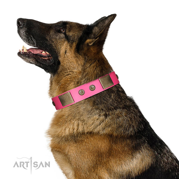 Reliable fittings on genuine leather dog collar for comfortable wearing
