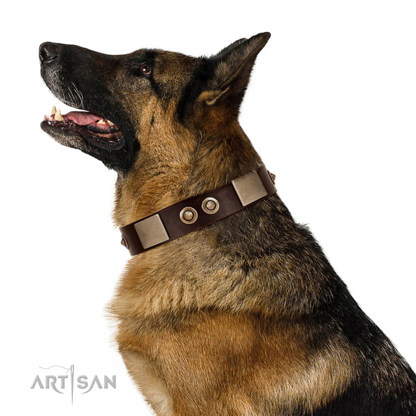Durable buckle on full grain natural leather dog collar for comfy wearing