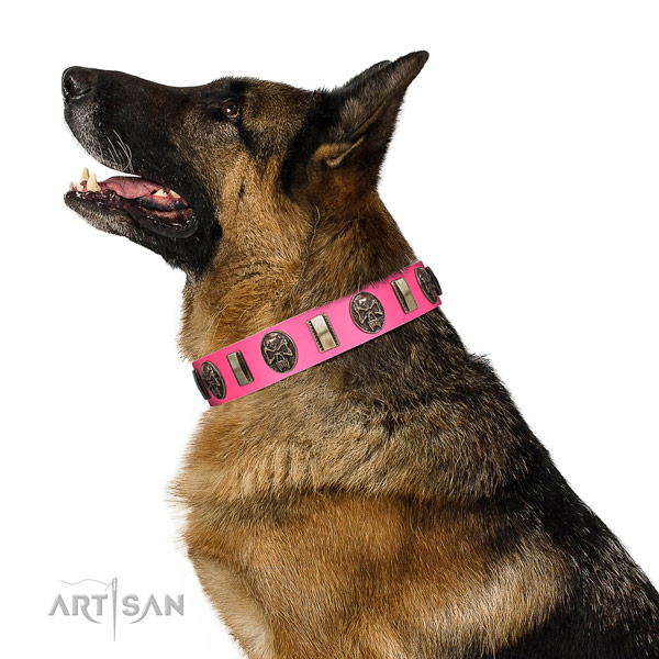 Durable hardware on leather dog collar for comfortable wearing