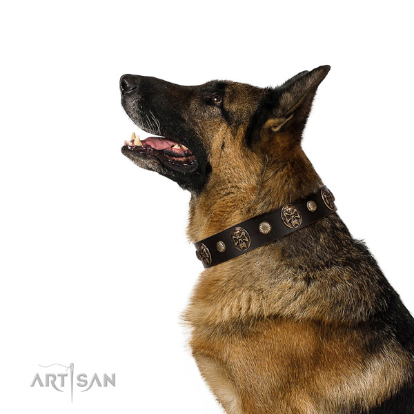 Fine quality full grain leather collar for your impressive four-legged friend