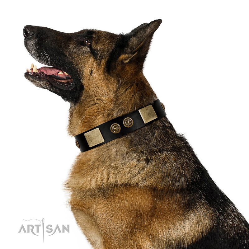 Chicci Glam FDT Artisan Black Leather German Shepherd Collar with Plates and Ornate Studs C411 1098 Black FDT Artisan Leather German Shepherd Collar Decorated with Plates and Studs German Shepherd Har...