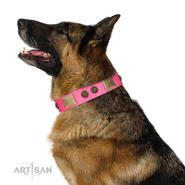 Embellished dog collar handmade for your attractive dog