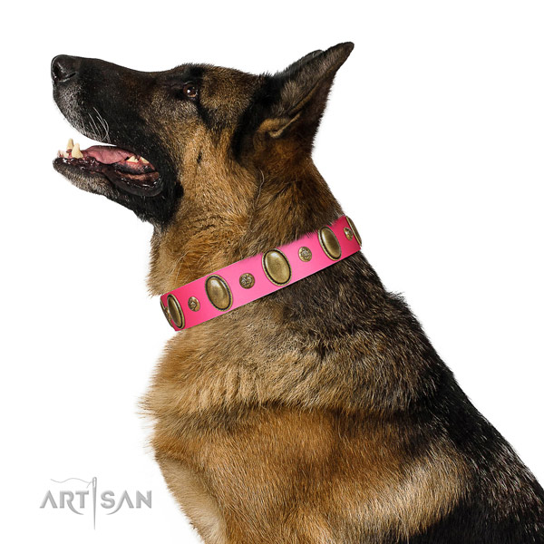 Stylish walking top rate full grain leather dog collar with adornments