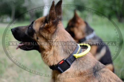 Nylon German-Shepherd Collar with Easy Quick Release Buckle