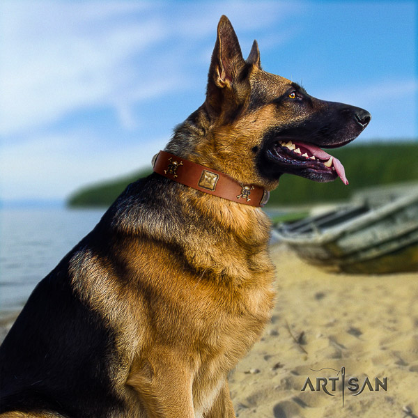 German-Shepherd Dog stunning embellished genuine leather dog collar for fancy walking