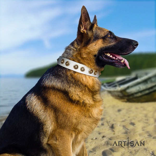 German-Shepherd Dog impressive decorated full grain leather dog collar for easy wearing
