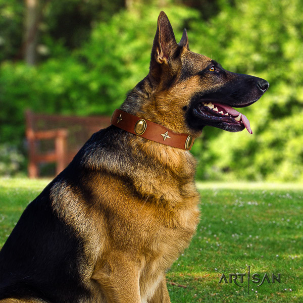 German-Shepherd Dog unique adorned full grain natural leather dog collar for daily walking
