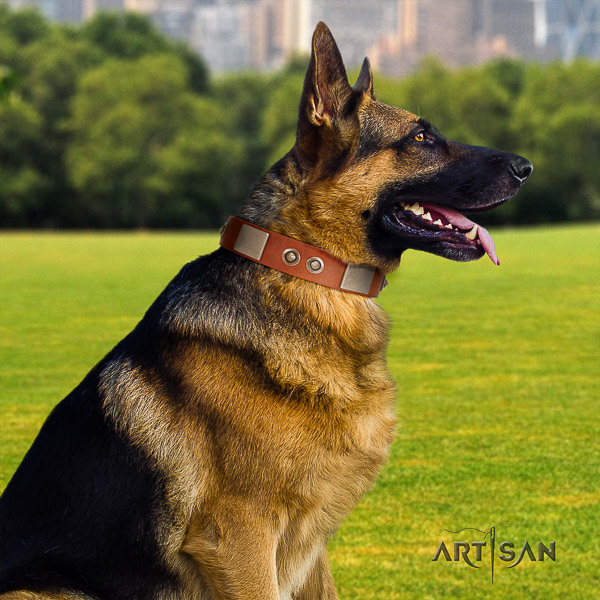 German-Shepherd Dog trendy decorated genuine leather dog collar for comfy wearing