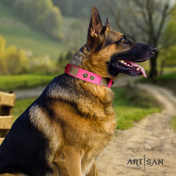 German-Shepherd Dog impressive studded full grain natural leather dog collar for easy wearing