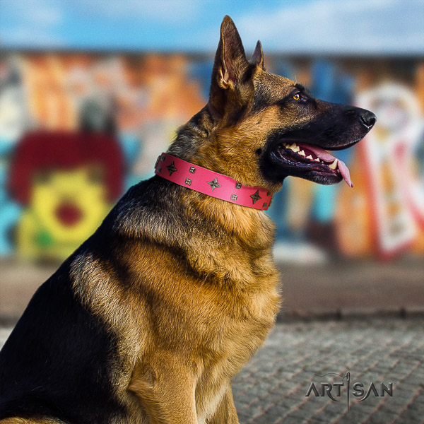 German-Shepherd Dog amazing studded natural leather dog collar for everyday use