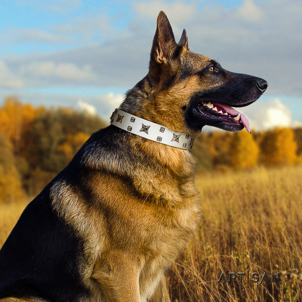 German-Shepherd Dog impressive adorned leather dog collar for everyday walking