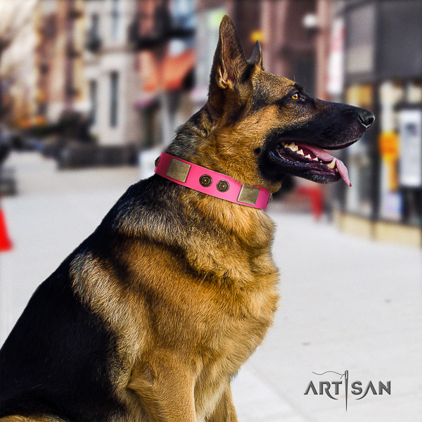 German-Shepherd Dog designer decorated genuine leather dog collar for everyday walking