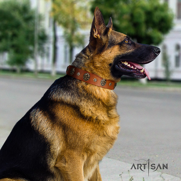 German-Shepherd Dog incredible decorated full grain natural leather dog collar for comfy wearing