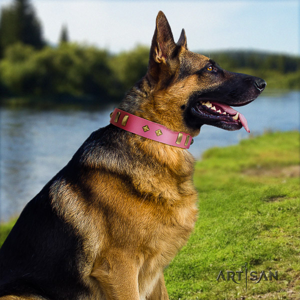 German-Shepherd Dog incredible studded full grain genuine leather dog collar for everyday use