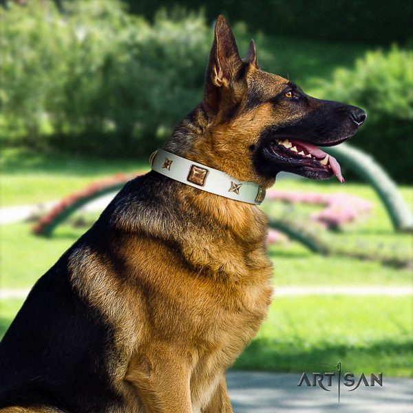 German-Shepherd Dog significant adorned leather dog collar for everyday walking