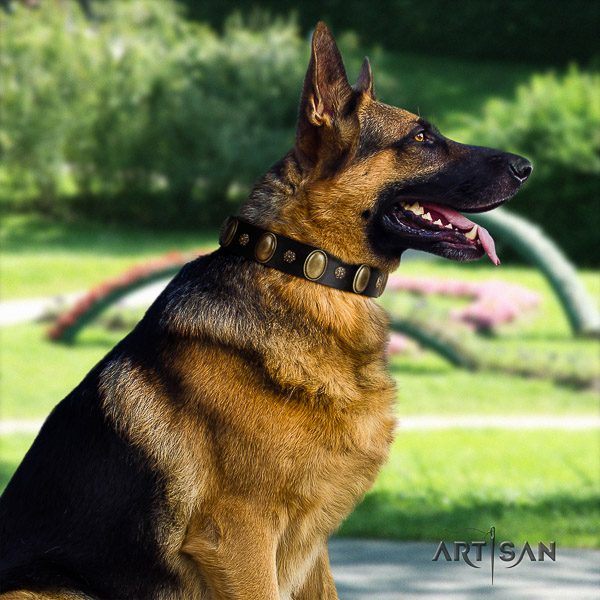 German-Shepherd Dog unusual adorned natural leather dog collar for daily use
