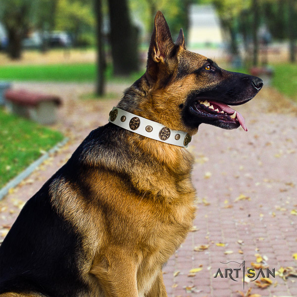 German-Shepherd Dog trendy adorned leather dog collar for everyday walking