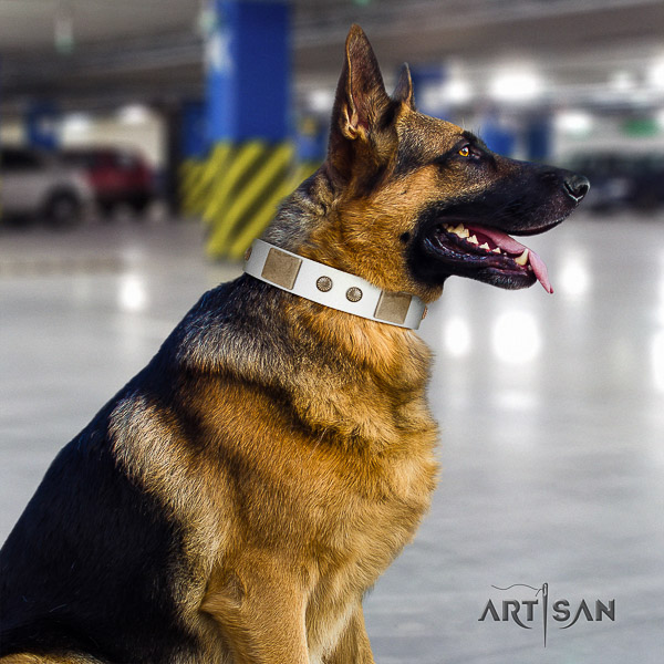 German-Shepherd Dog awesome embellished genuine leather dog collar for walking