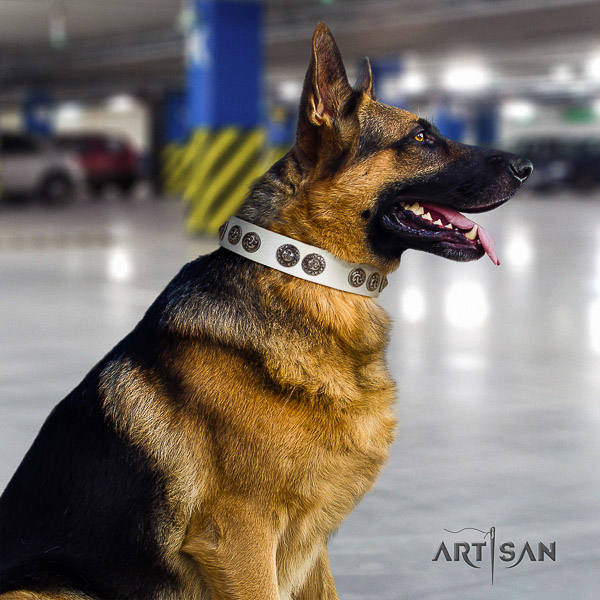 German-Shepherd Dog stylish design adorned full grain leather dog collar for everyday walking